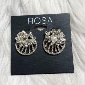Rosa Post Rhinestone Fashion Earrings Silver